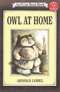 Owl at Home