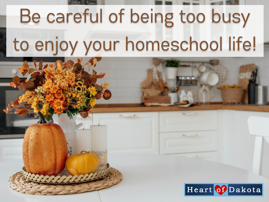 Read more about the article Be careful of being too busy to enjoy your homeschool life!