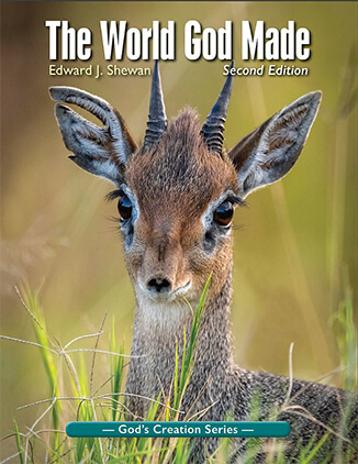 The World God Made