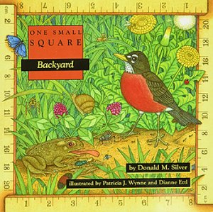 One Small Square: Backyard