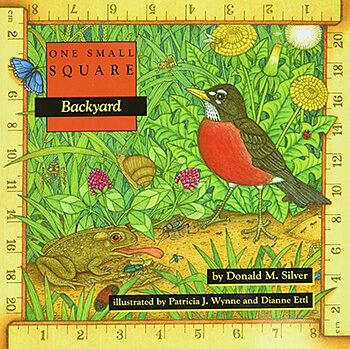 One Small Square: Backyard