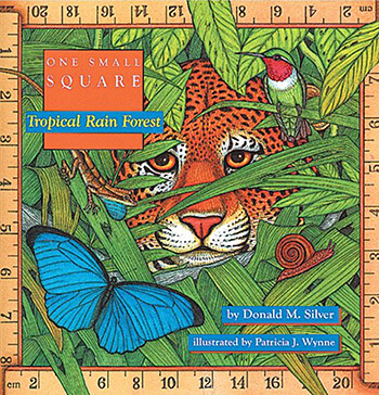 One Small Square Tropical Rain Forest