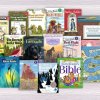 Emerging Reader's Set 1 with The Early Reader’s Bible