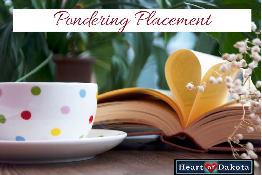 Heart of Dakota - Pondering Placement