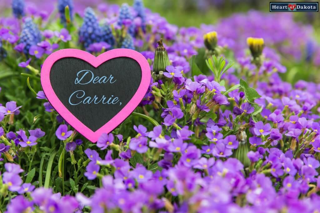 Dear Carrie Heart of Dakota Algebra 1