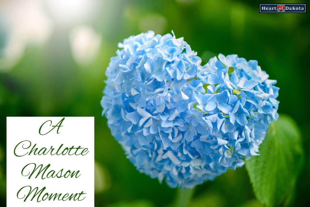 Heart of Dakota Charlotte Mason Moment writing lesson