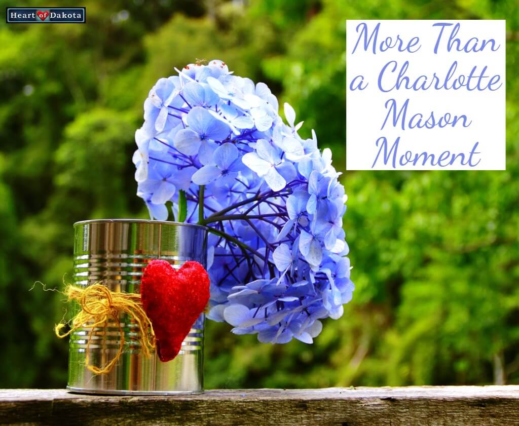 Heart of Dakota - More Than a Charlotte Mason Moment