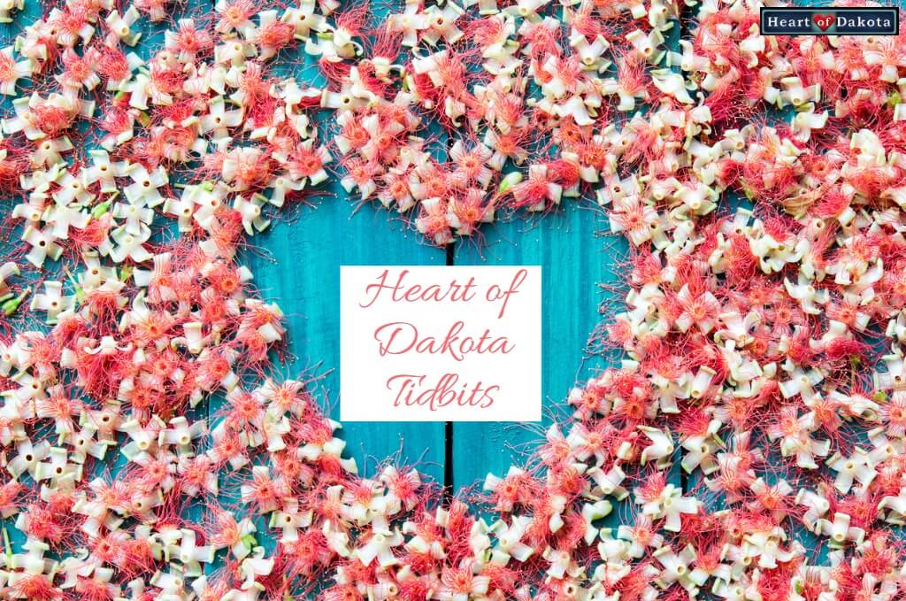 Heart of Dakota Tidbit Bigger Hearts independent learning
