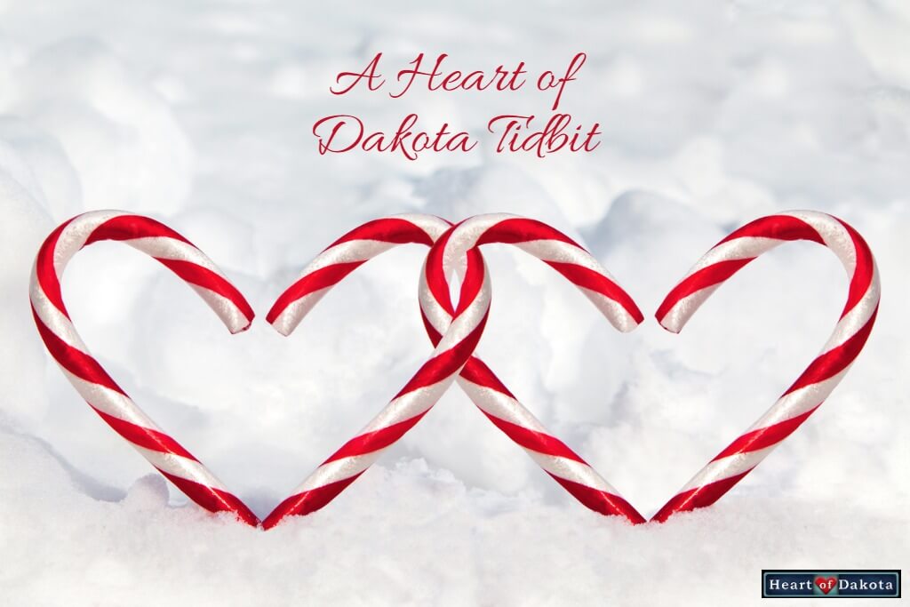 Heart of Dakota Tidbit Homeschooling Gives Freedom to Grow Interests