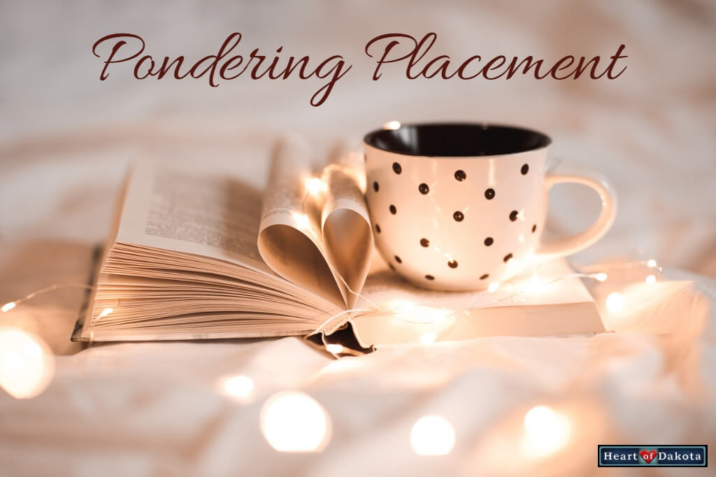 Heart of Dakota Pondering Placement