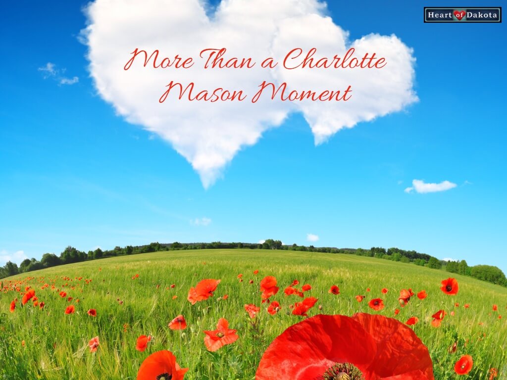 Field with red poppies and blue sky overhead. In the sky float heart shaped clouds.