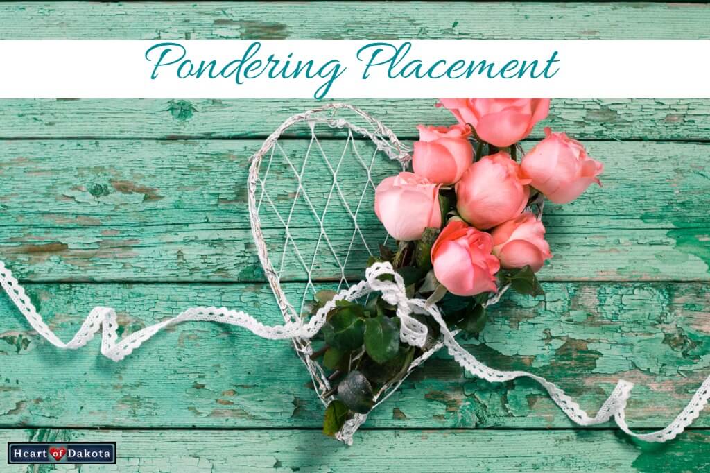 Heart of Dakota - Pondering Placement