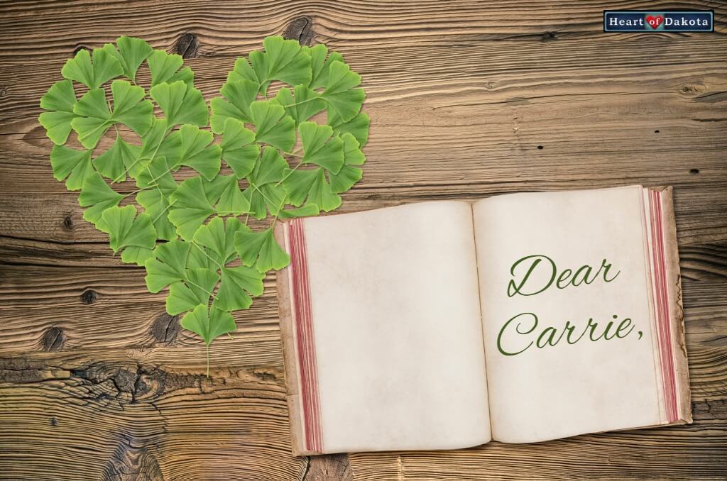 Read more about the article DITHOR Lessons and Projects with Two Students in Different Levels