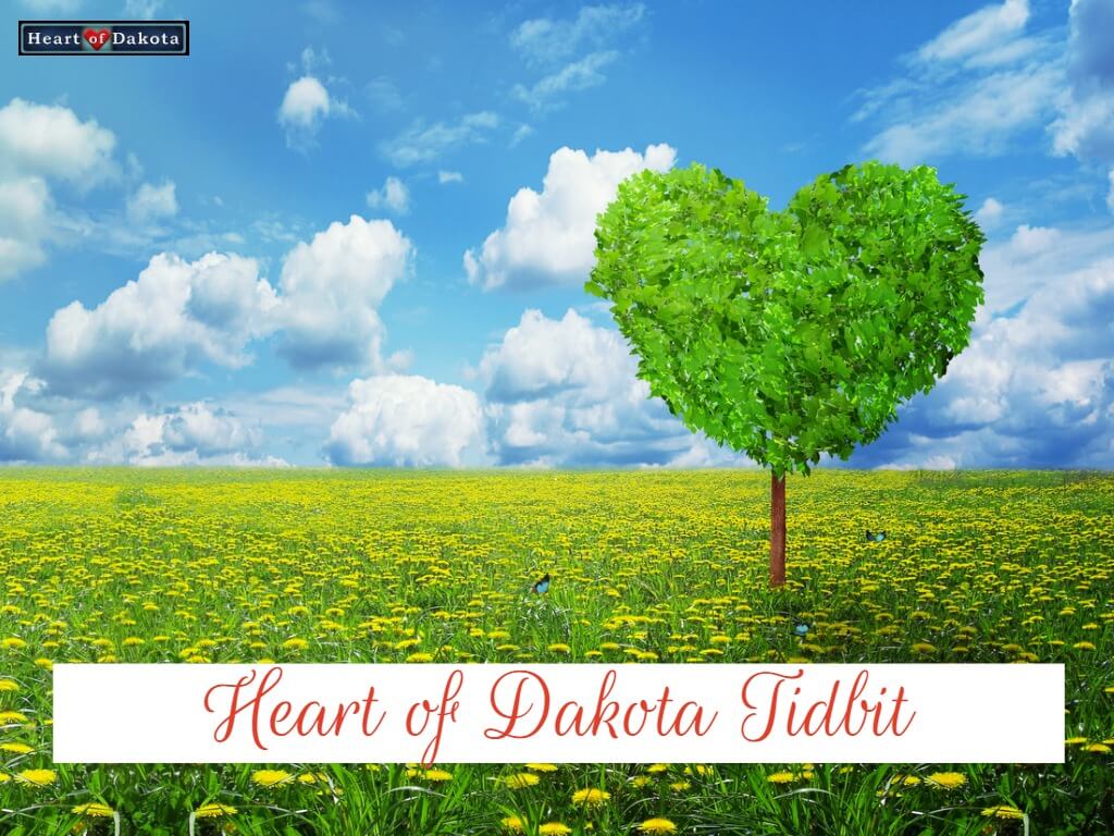 Heart of Dakota Tidbit