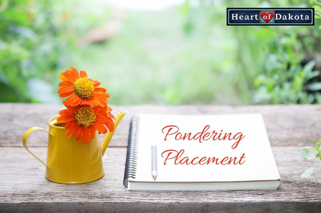 Heart of Dakota - Pondering Placement