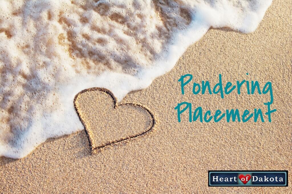 Read more about the article Tweaking Placement and/or Pacing to Help in Unforeseen Life Challenges