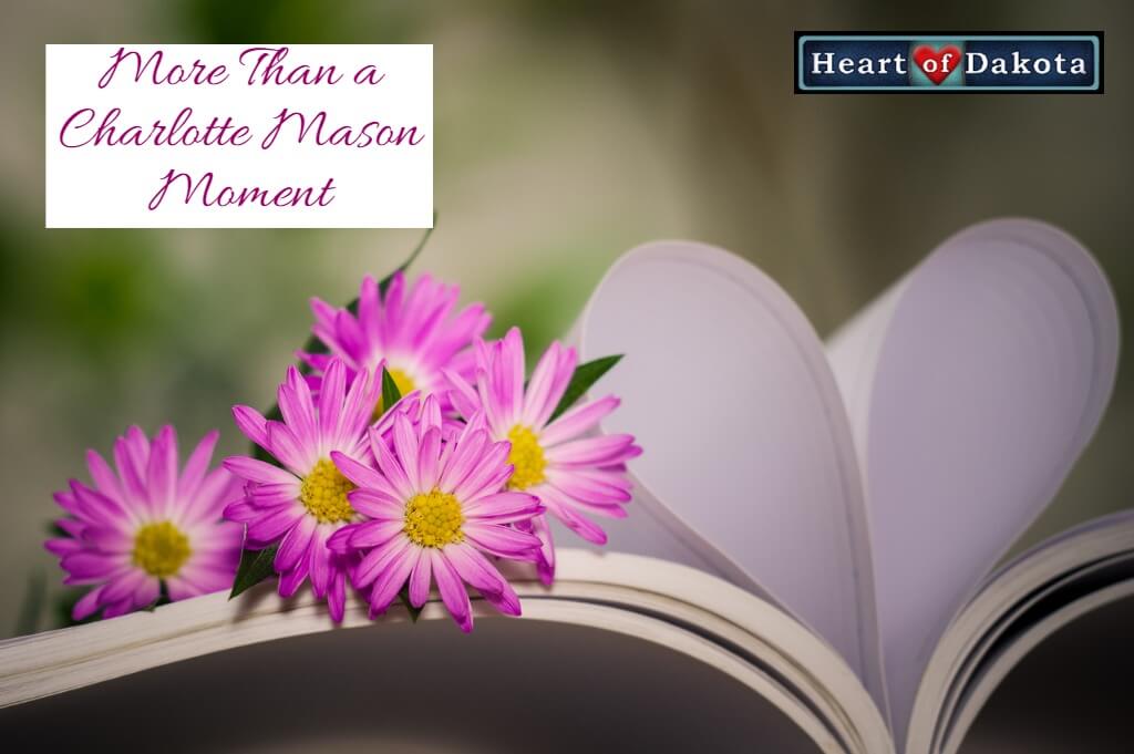 Read more about the article Finding Misspelled Words in a Given Passage – Not a Charlotte Mason-Inspired Skill