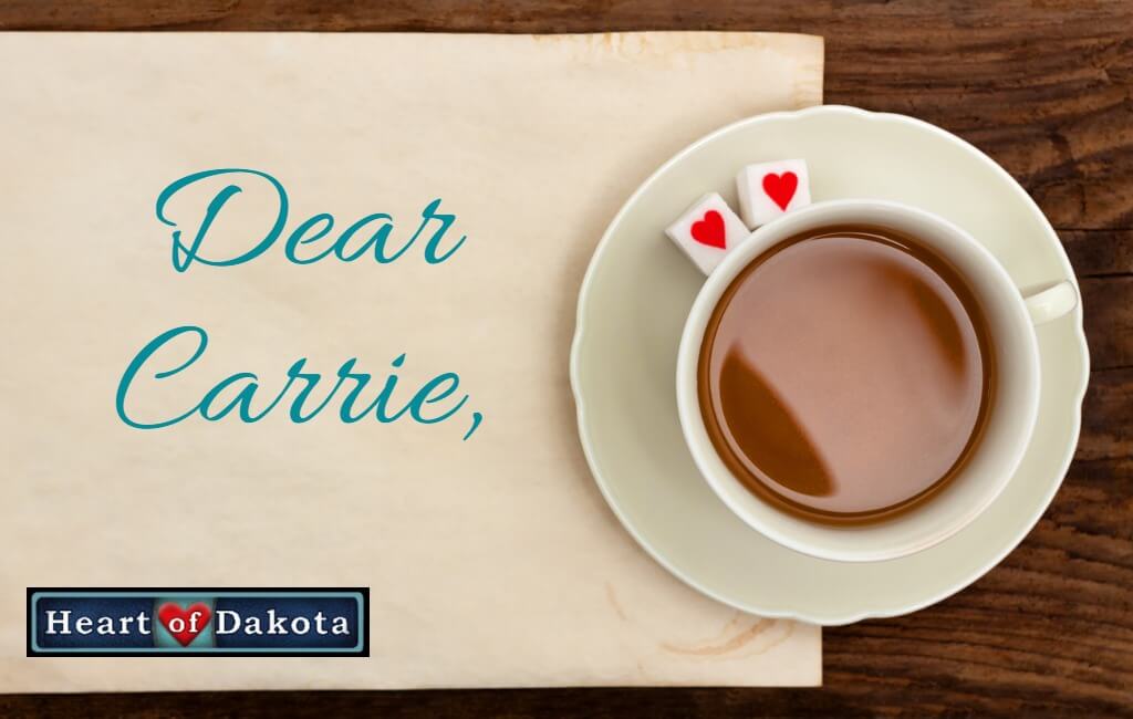 Read more about the article A “Thank You” from a Mom with Six Kids Happily Using Heart of Dakota!