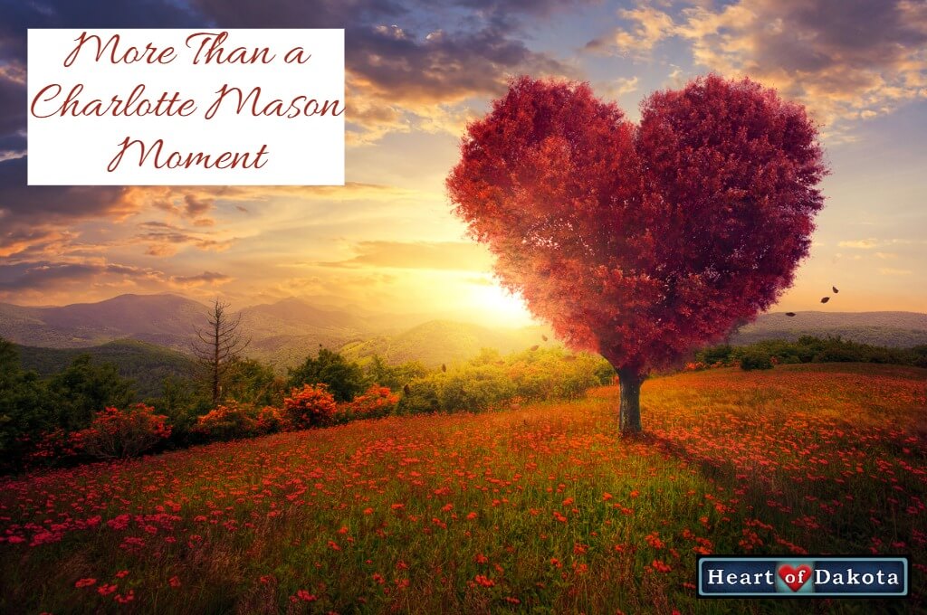Heart of Dakota - More than a Charlotte Mason Moment