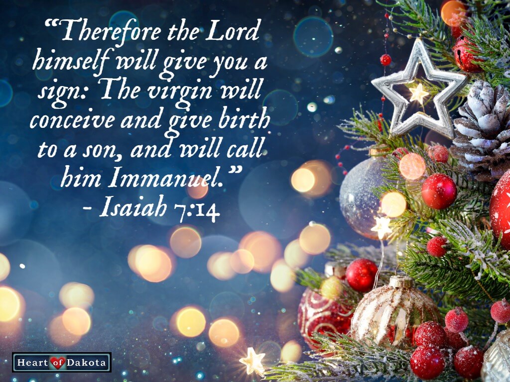 Read more about the article 2020 is almost over… Merry Christmas and Happy New Year!