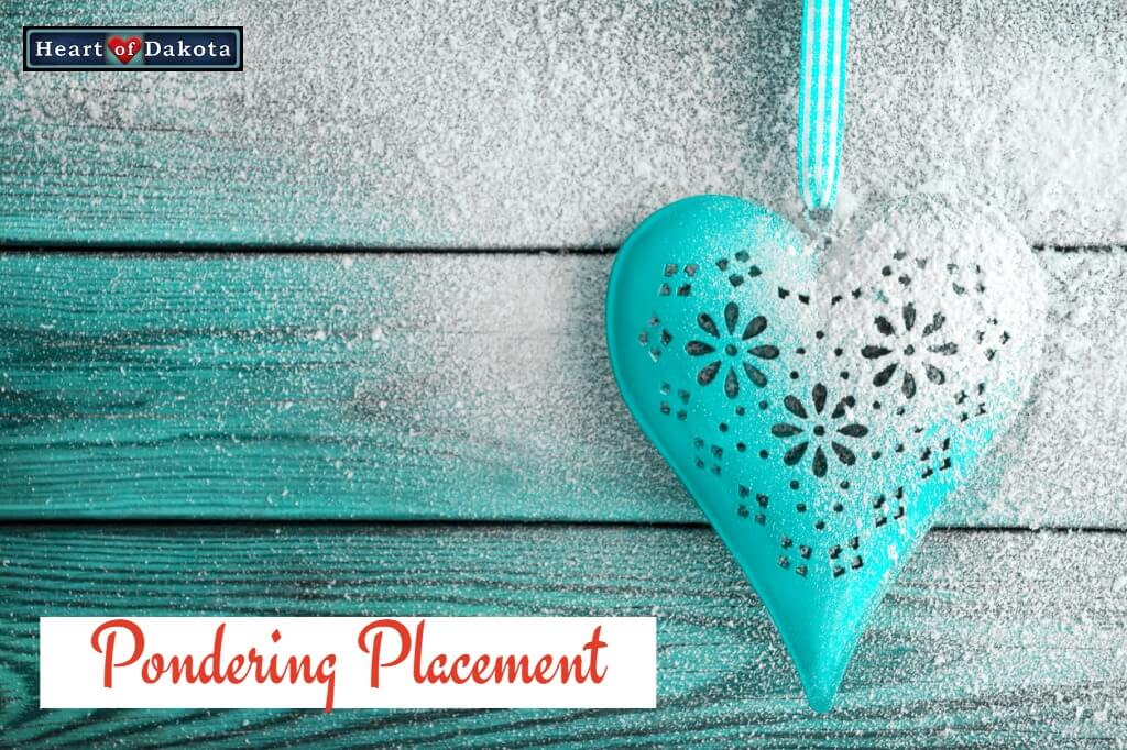 Read more about the article What would my son be missing out on if he doesn’t have proper placement?