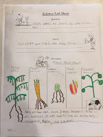 Science Lab Sheet