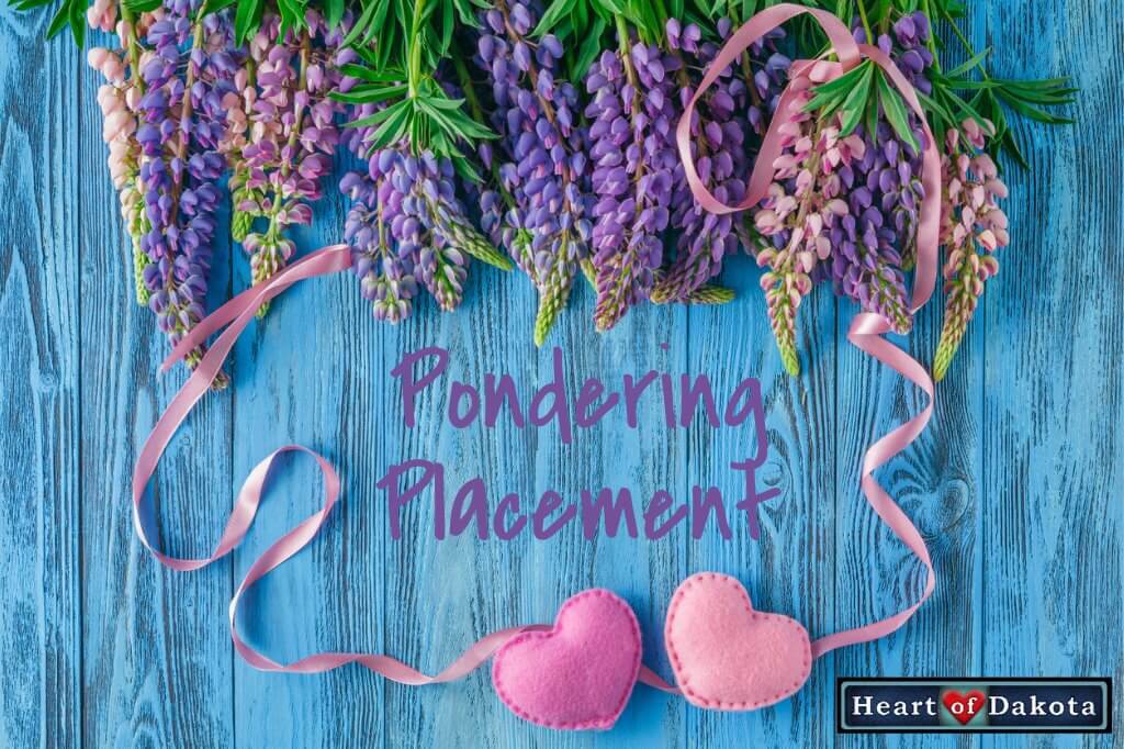 Heart of Dakota - Pondering Placement - dyslexic