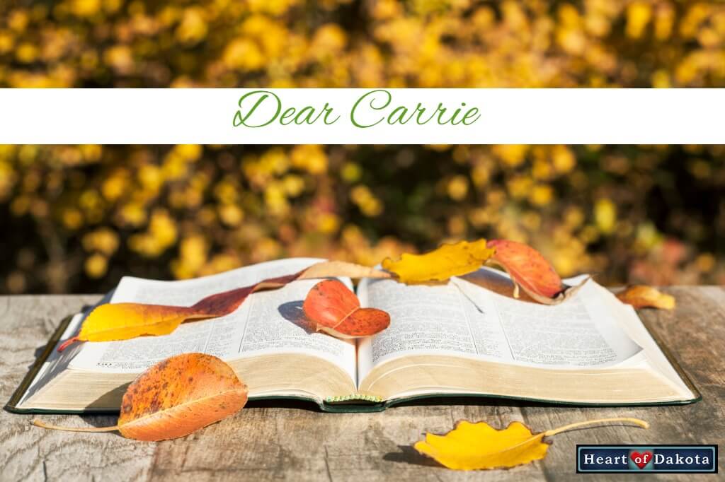 Read more about the article How do you teach an R & S English lesson in a timely fashion?