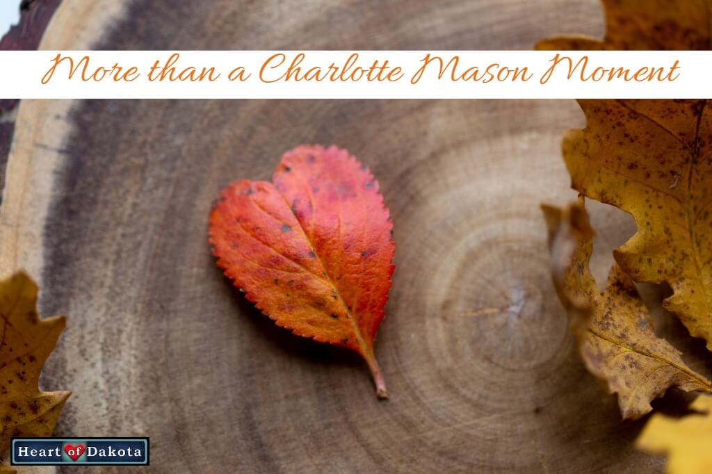 Heart of Dakota - More than a Charlotte Mason Moment - World Geography Fine Arts Credit
