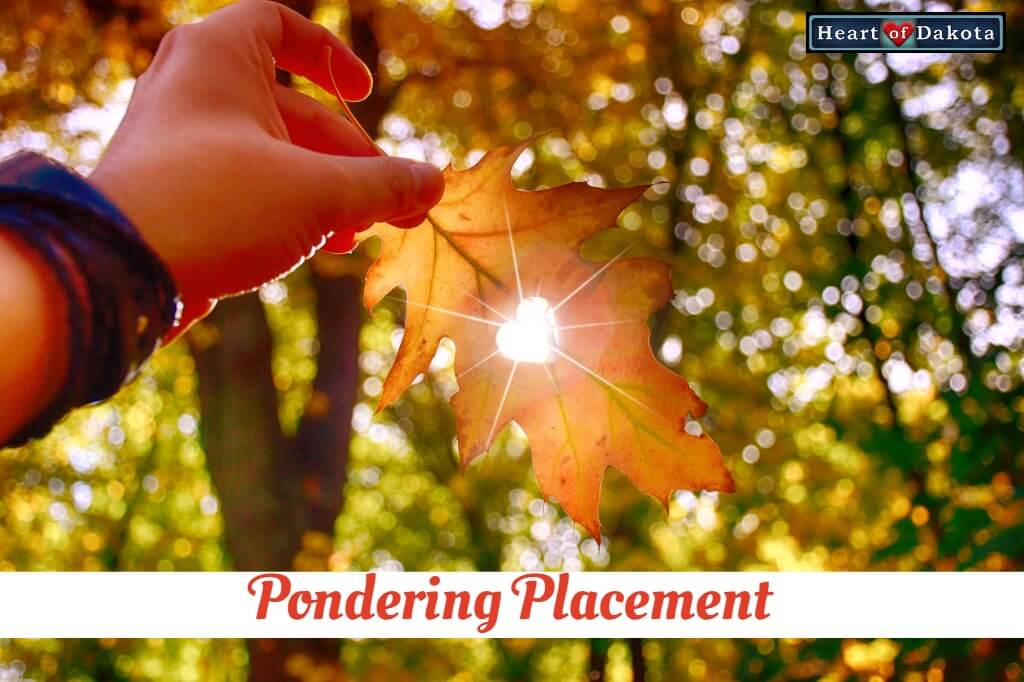 Read more about the article Placement Options for a 4 1/2 Year-Old Who’s Ready for K Phonics, Writing, and Math
