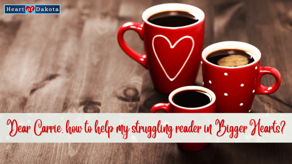 Heart of Dakota - Dear Carrie - Should I stop and just focus on reading and math skills?
