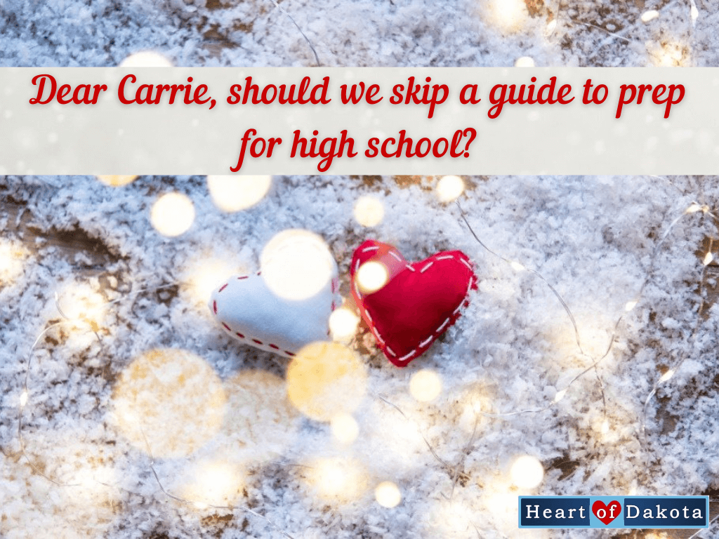 Read more about the article Looking ahead to high school, should my son skip a guide now?