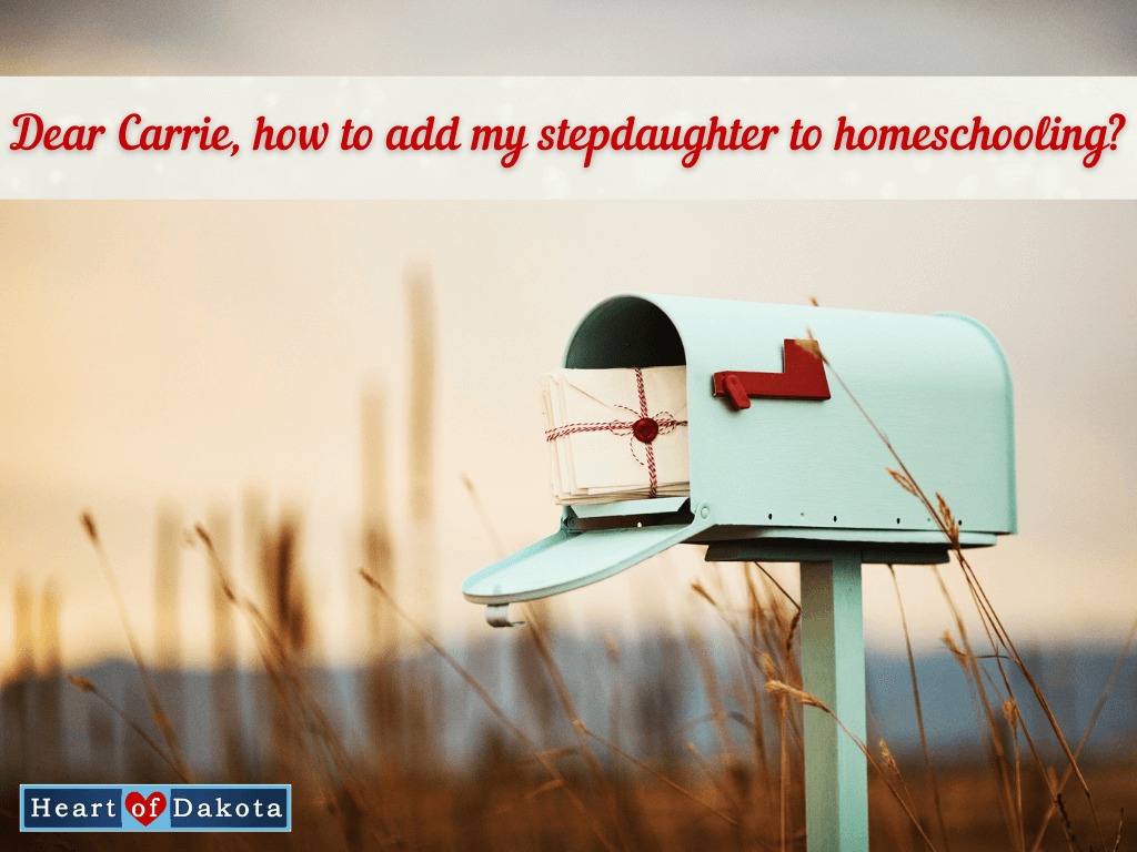 Read more about the article Adding My Stepdaughter to Our Homeschooling