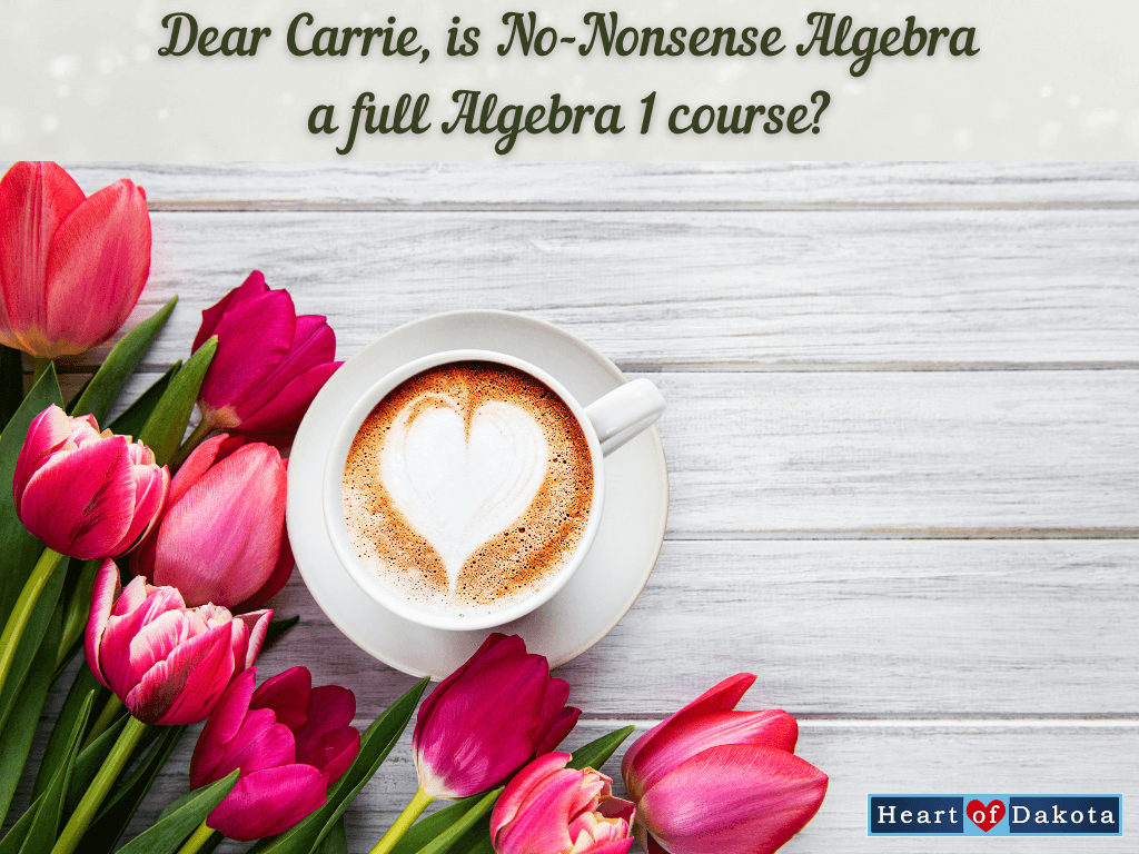 Heart of Dakota - Dear Carrie - Is No-Nonsense Algebra a full Algebra I course?