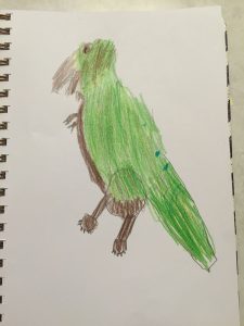 Heart of Dakota - Becoming an Artist - Art