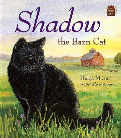 Shadow the Barn Cat