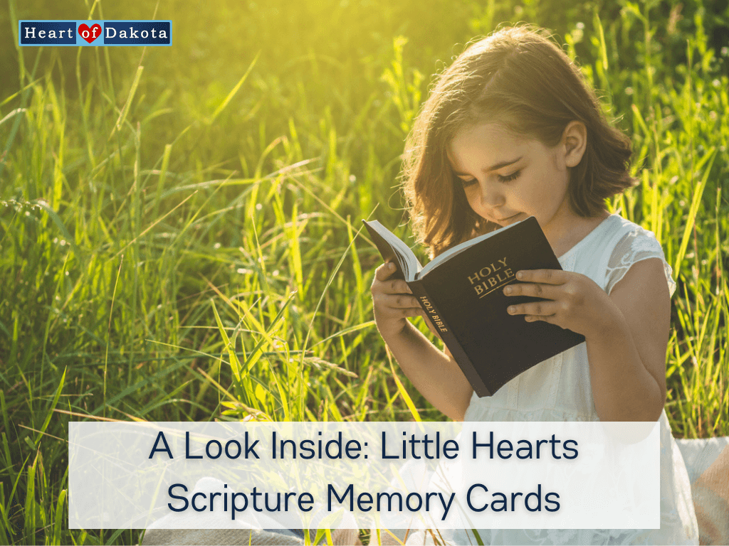 Read more about the article A Look Inside: Little Hearts Scripture Memory Cards