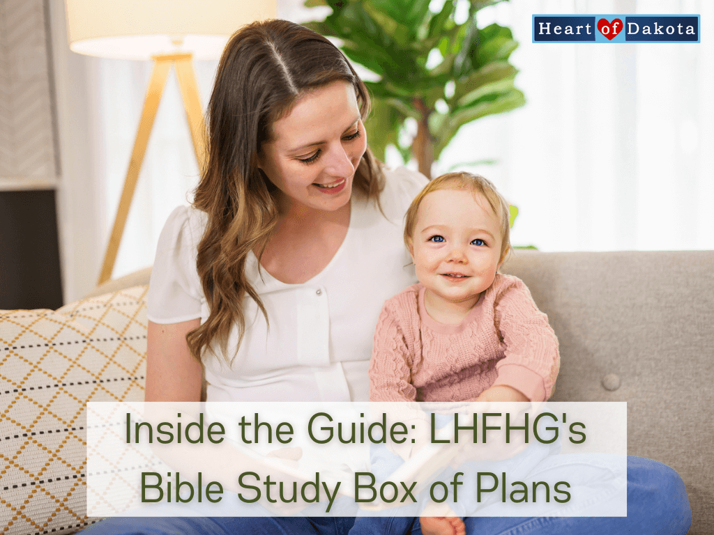 Read more about the article Inside the Guide: LHFHG’s Bible Study Box of Plans