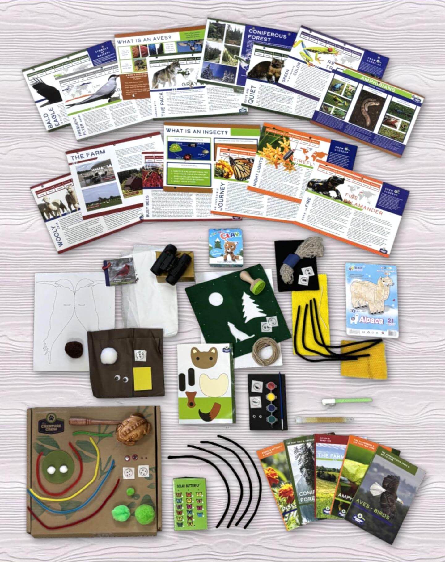 Bigger Hearts Science Kit