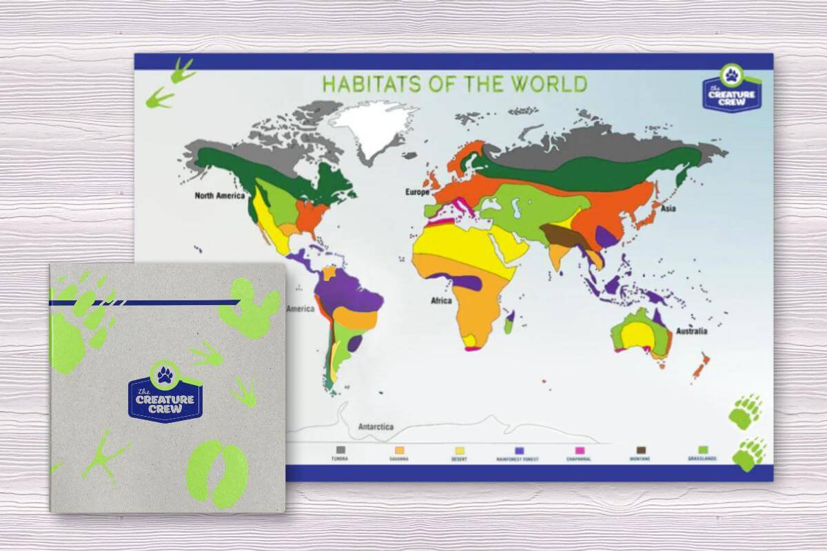 Creature Crew Binder & Map