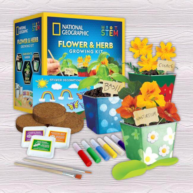Flower & Herb Growing Kit