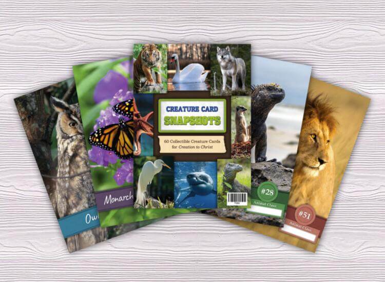 Creature Card Snapshots
