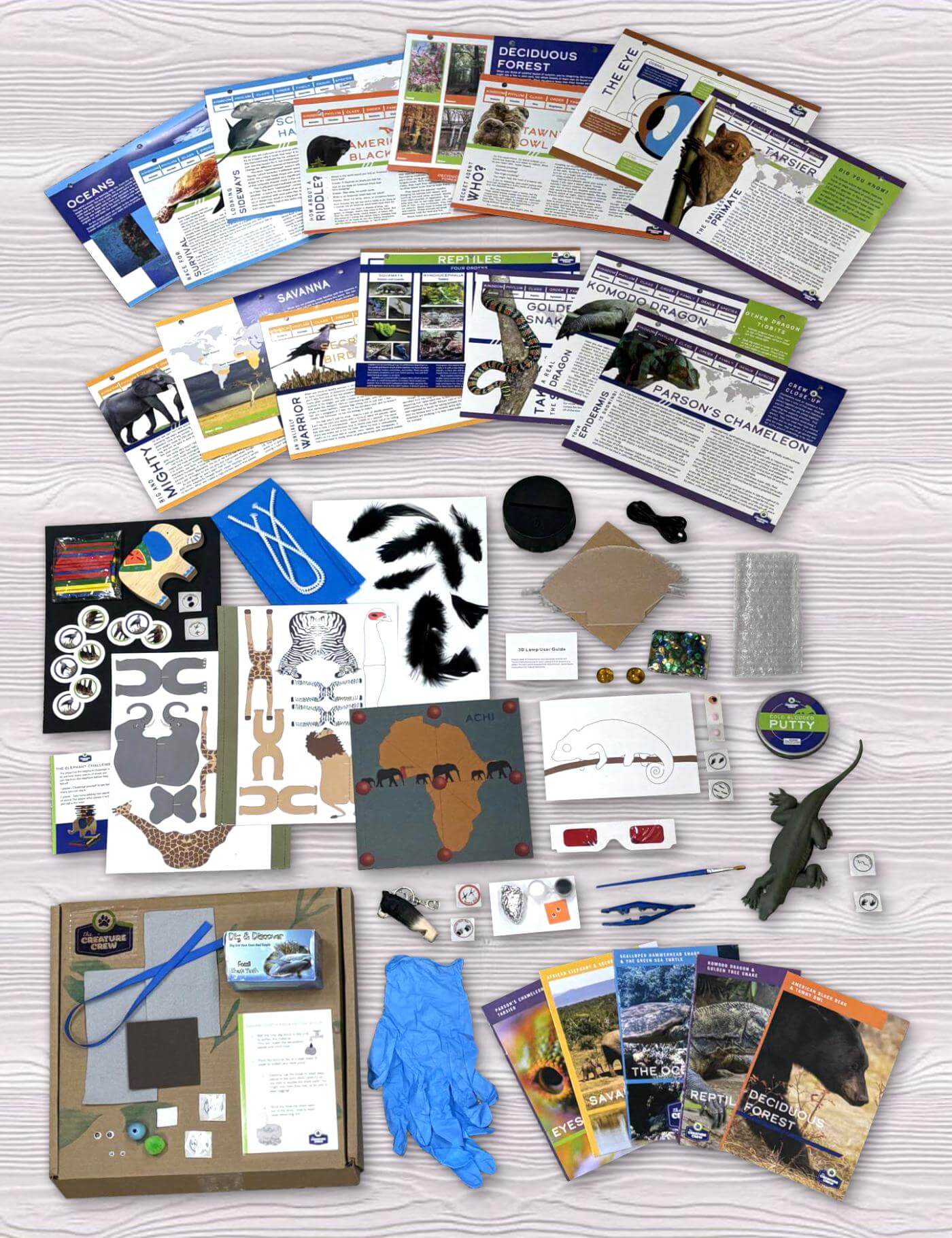 Creation to Christ: Science Kit
