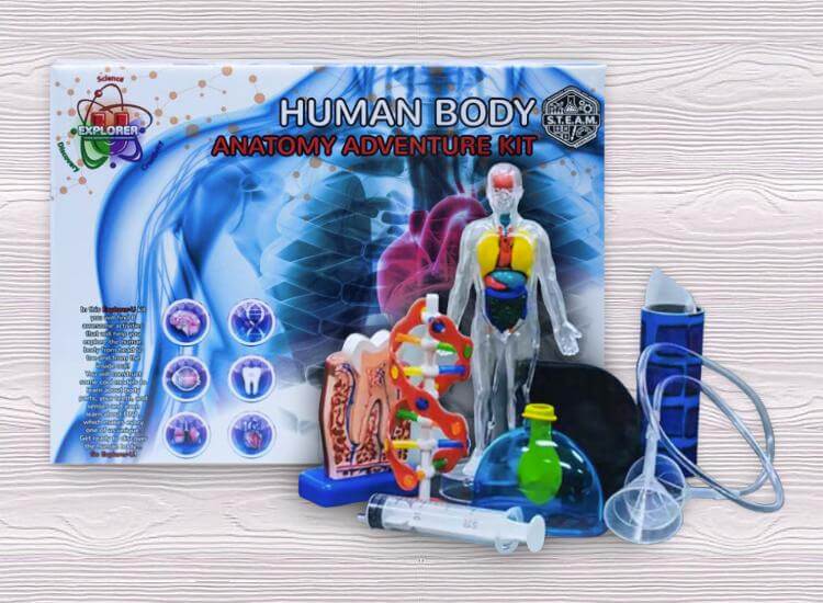 Human Body: Anatomy Adventure Kit