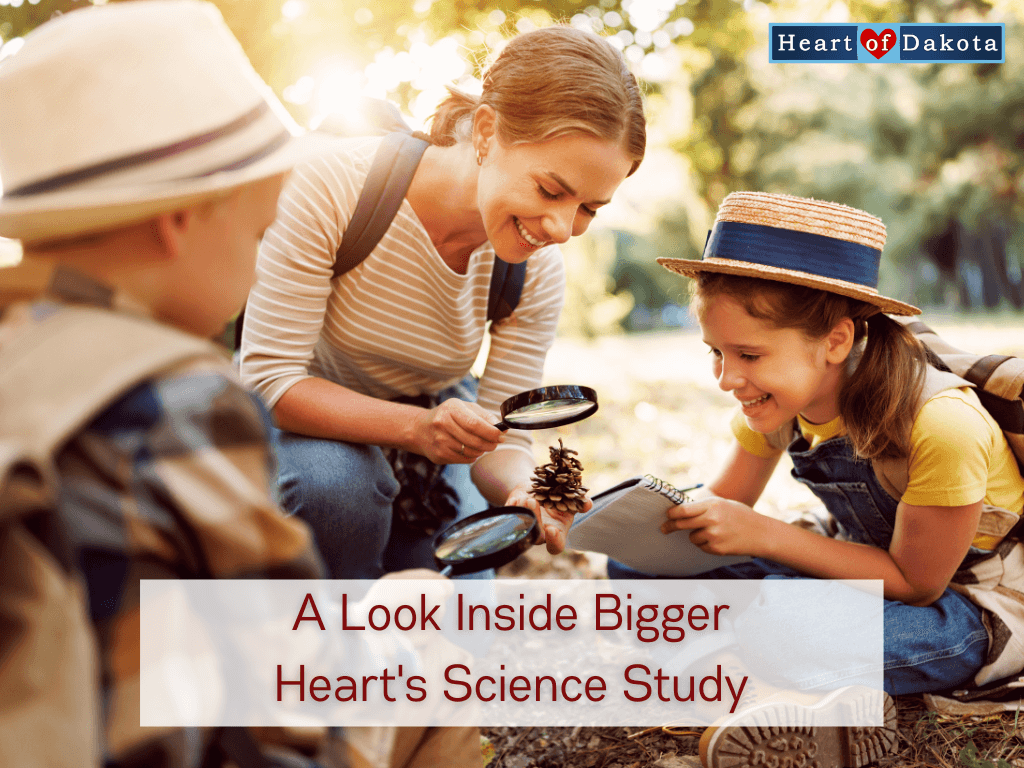 Read more about the article A Look Inside Bigger Heart’s Science Study