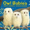 Owl Babies