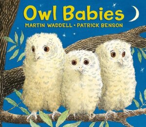 Owl Babies