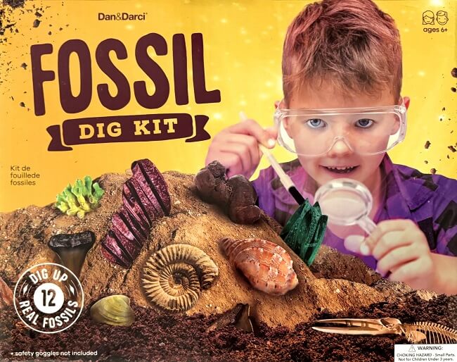 Fossil Dig Kit