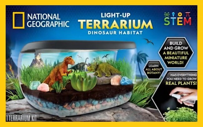Light-Up Terrarium Dinosaur Habitat