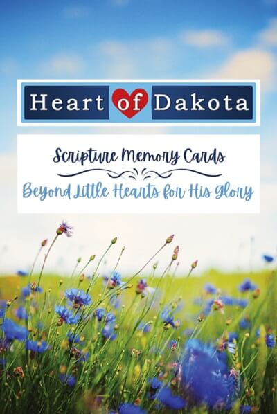 Beyond Little Hearts Scripture Memory Cards